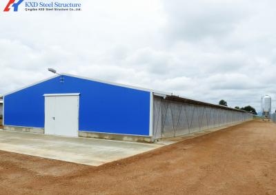 China H Section Steel Poultry House Chicken Farm House Building for sale
