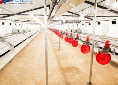 China Quick Fitting Automatic Feeding And Drinking System For Broiler Chicken Shed for sale