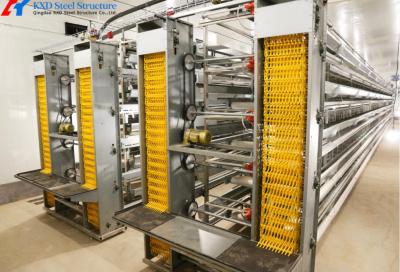China Steel Chicken Layer Cages A Type H Type Automated Battery Cage for sale