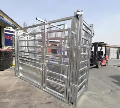 China Easy Install Metal Cattle Shed Onsite Installation Steel Animal Husbandry Equipment for sale