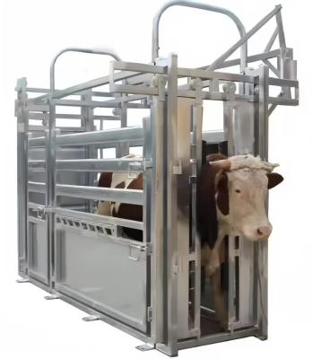 China Heavy Duty Steel Cattle Buildings Customized Steel Structure Animal Husbandry Equipment for sale