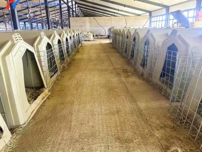 China Anti Rust Galvanized Steel Cattle Yard Panels For Farm Fencing for sale