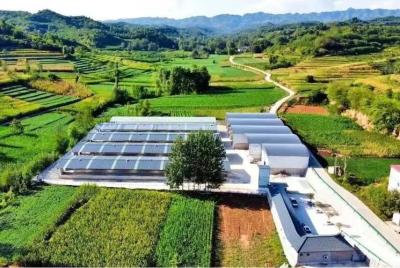 China Livestock Shelter Dairy Farm Barn Custom Steel Structure Cow Shed For Live Cattle for sale