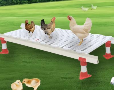 China Stackable Chicken House Floor Slats , Plastic Slat Flooring For Poultry for sale