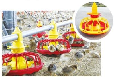 China Automatic Feeding System for Broilers and Layers for sale