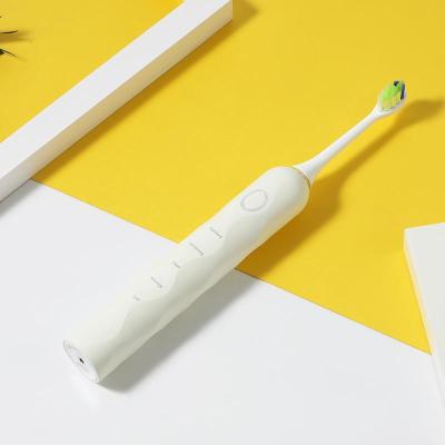 China Teeth Cleaning Usb whitening charging sonic rechargeable ultrasonic vibrating automatic toothbrush for sale