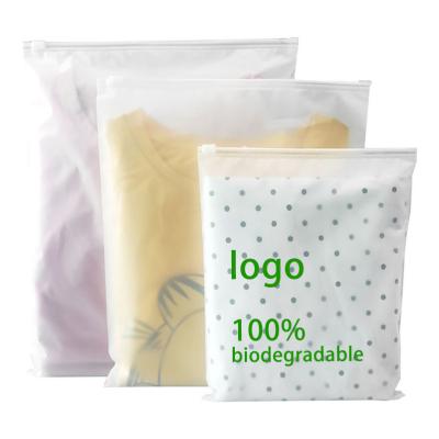China Matte Zip Lock Custom Packaging Bags Biodegradable for T Shirt Swimwear Clothing for sale