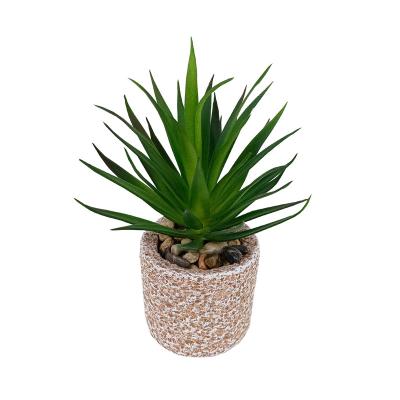 China New Design Style Artificial Succulent Amazon Plant Potted Decoration Office Home Nordic Environment Friendly Office Decoration Gifts for sale