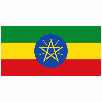 China Ethiopian Flag Ethiopian Sale Satin Flag Health Care Institutes Lion National Flag Outdoor Banner for sale