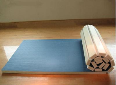 China Waterproof Workout Exercise Floor Mats Padded Gym Mat Of Sports Equipment for sale