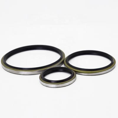 China Hot Sale Oil-Resistant Black Nbr And Metal Oil Resistance Dust Wiper Seal Dustproof Mechanical Seal For Dkb/DkbI for sale