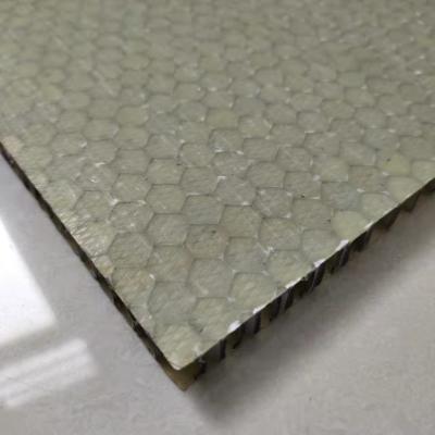 Chine panneaux de nid d'abeilles de 1500x2000mm FRP, panneau de fibre de verre de nid d'abeilles à vendre