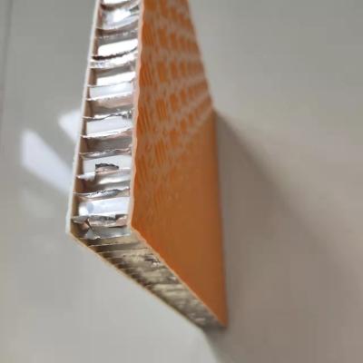 Chine les panneaux de nid d'abeilles de 32mm 48mm FRP pour le rail transitent le plancher intérieur à vendre