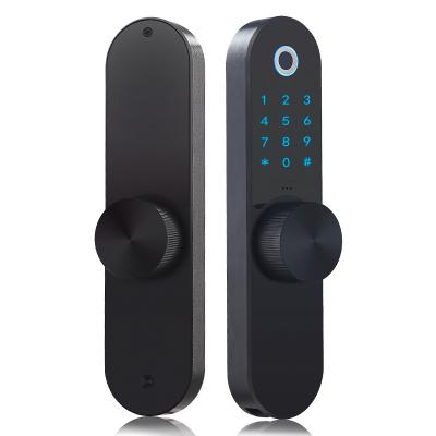 China TTlock Zinc Alloy Widespread Apartment Swipe Passcode Smart Fingerprint Lock with Alexa for sale