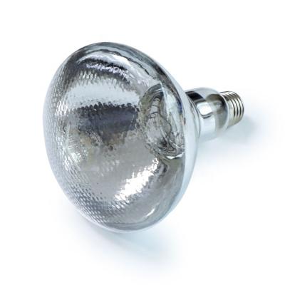 China Chicken Farm hot Selling farm Heater Explosion-proof lights infrared Explosion Proof Infrared lamp for sale