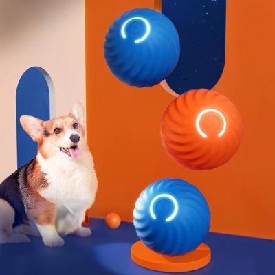 China Pet ABS Silicone Material Self Moving Dog Training Kitten Toy for Indoor Entertainment for sale