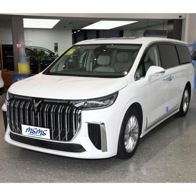 China 2024 Luxus Elektroauto Voyah Dreamer Hybrid MPV 7 Sitzplätze Langstrecken-Elektrofahrzeug zu verkaufen