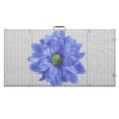 China P3.91-7.82mm Transparent Adhesive LED Screen Display For Shop Window for sale