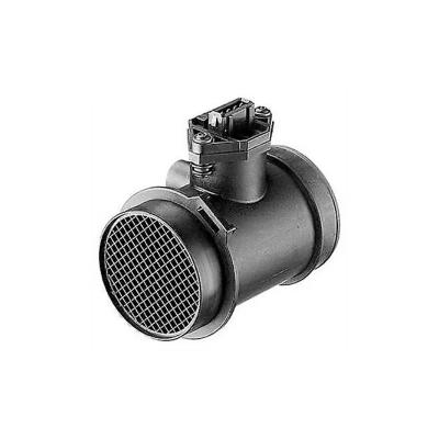 China Top Performance 213719665019 Air Mass Sensor for V-W and F-O-R-D for sale