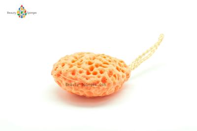 China Unique Texture Bath Scrubber Sponge for shower , Extremely Soft bath sea sponges for sale