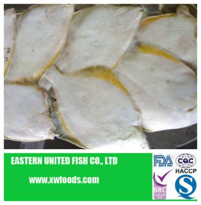China FROZEN frozen single-yellow fin fish fillets for sale
