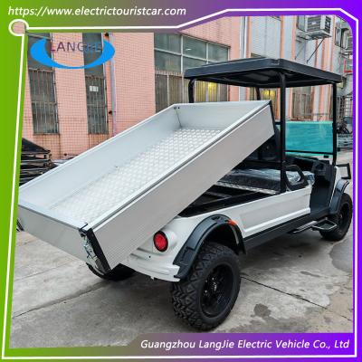 중국 2 수송 수화물을 위한 화물을 가진 Seater 48V 건전지 호텔 2 륜 마차 차 판매용