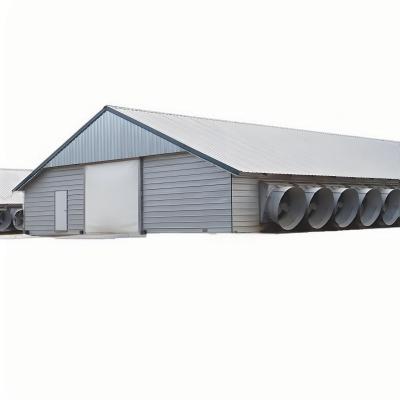 China Lichte stalen structuur Schuur Constructie Op maat gemaakte stalen broiler pluimveehuis Te koop