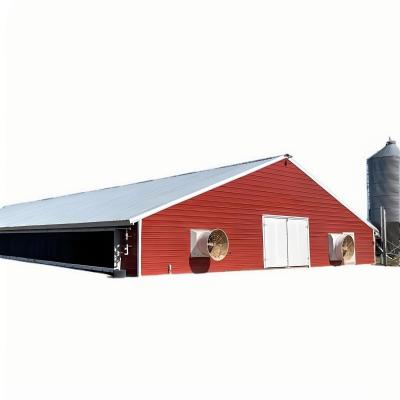China Moderne stalen kippenboerderij gebouw, licht stalen structuur pluimveehuis Te koop