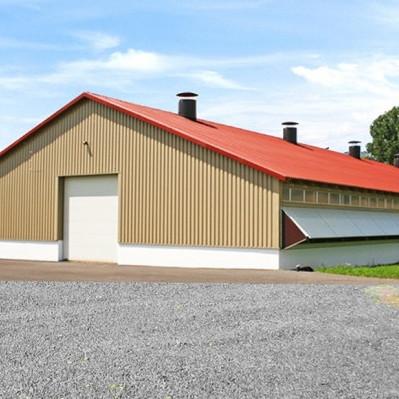 China Op maat gemaakte moderne stalen structuur kippenhuis laag kooi voor kippen pluimveehouderij Te koop