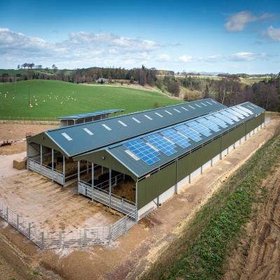 China Easy Install Industrial Steel Sheds Customized Low Cost Steel Buildings for sale