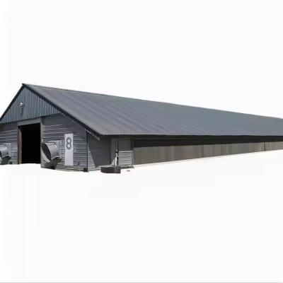 China Prefab Steel Structure Kippenhuis Gebouw, Lichte staal gebouwde Gebouw Te koop