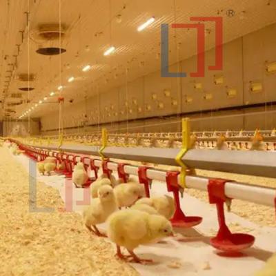 China Automatische geprefabriceerde stalen structuur Kippenhuis Q235 Q345 Stalen frame Schuurhuis Te koop