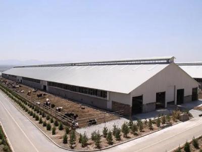 China Ventilation Steel Structure Cow Shed , Durable Steel Livestock Shelter For Dairy Farm for sale