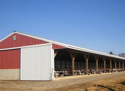 China Light Prefab Steel Livestock Barns , Custom Steel Shed Construction for sale