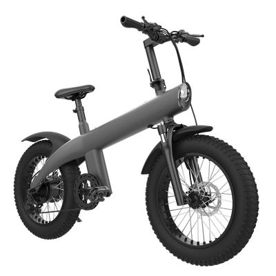 China Foldable Electric Bicycle Motor Pole 48V 750W 20 Inch Fat Tire 7 Speed Transmission System Mountain Mechanical City Electric Bicycle for sale