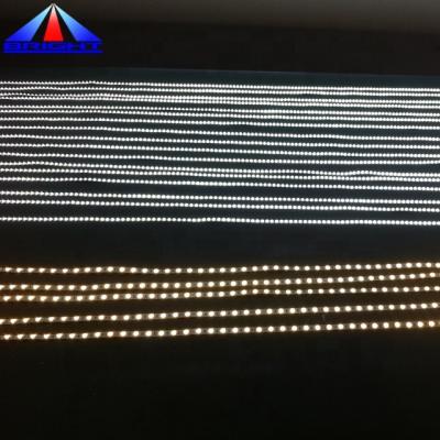 China Hotel SMD3014 120LEDS Warm White Rope Light 8mm White Led Strips Light for sale
