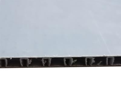 Chine Le nid d'abeilles de polypropylène de structure de bulle d'AkyBoard couvre 4mm 5mm à vendre