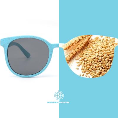 China Fashion Sunglasses Wheat Straw Environmental Protection Biodegradable Material Sunglasses for sale