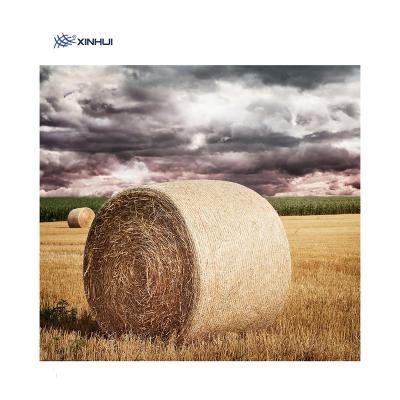 China High Quality 100% HDPE Material Bale Net Wrap Prices Biodegradable xinhui-98563 en venta