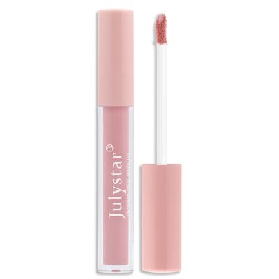 China Matte Lip Makeup Waterproof Nonstick Lipstick High Liquid Pigmented 12 Color Lip Gloss Set for sale