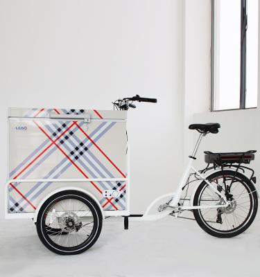 China 2022 new electric tricycle cream three wheel ice cream carts on sale with refrigerator for sale