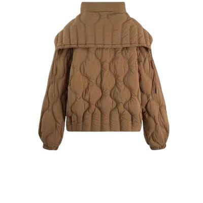 China Breathable Winter Clothes 2023-2024 Warm short Puffer women's jackets women's down coats for sale