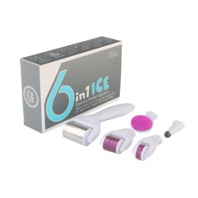 Chine 6 en 1 Kit Derma Roller avec Ice Roller Le refroidissement de la peau Les soins Derma Beauté du visage à vendre