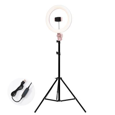 China 10inch LED Selfie Ring Light with Stand and Phone Holder Live Stream Make-Up Youtuber 10 inch Selfie Ring Fill Light for sale