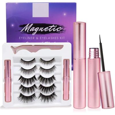 China Arishine Natural Magnetic False Eyelashes 10 Magnets 10 Lashes 6 Long Magnetic Eyelash Kit for sale