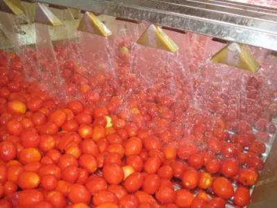 Cina Linea di trasformazione della salsa ketchup dell'inceppamento della salsa fresca della pasta in vendita