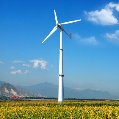 China Grid Tie Power Inverter Three Phase 5KW Wind Turbine For Wind Use SWO-2K/5KW for sale
