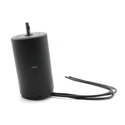 China 100160 Brushless DC Electric Motor With 85kg Thrust For Electric Boat Go Kart Boat for sale