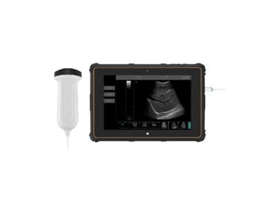 China B Draagbare de Ultrasone klankscanner van de Ultrasone klankscanner met B, B+B, B+M-de Verbinding van Wijzeusb Te koop