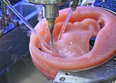 China Professional Dental Practice Milled Acrylic Denture with CAD/CAM Technology for sale